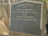 image of grave number 720285